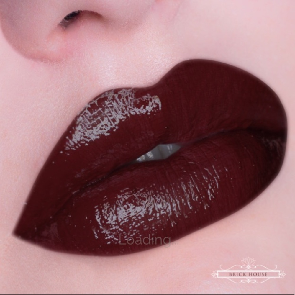 Lip Hybrid✨BRICK HOUSE✨ Vegan and Cruelty Free!!